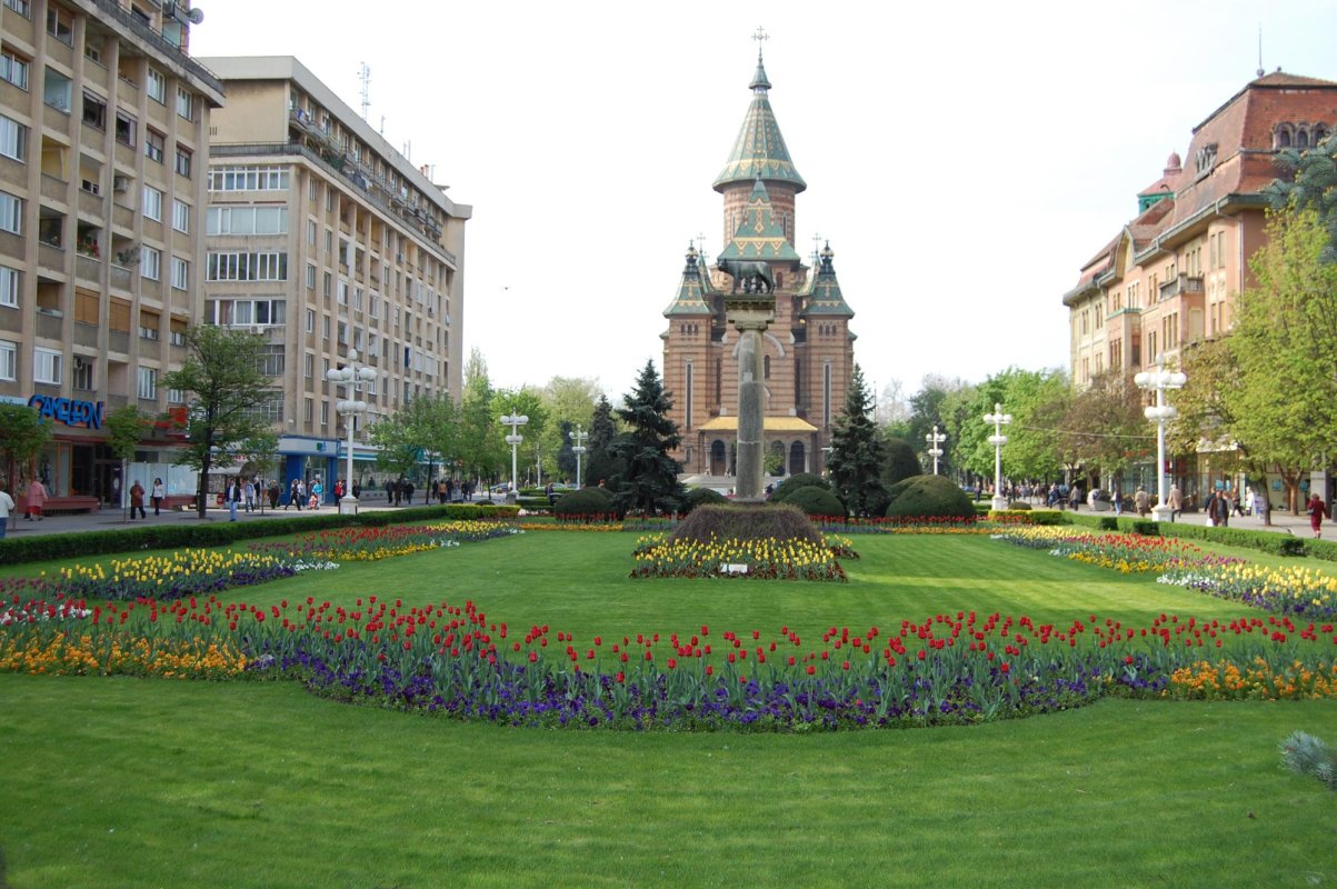 Catedrala timișoreană în conștiința cinstitorilor ei 138089