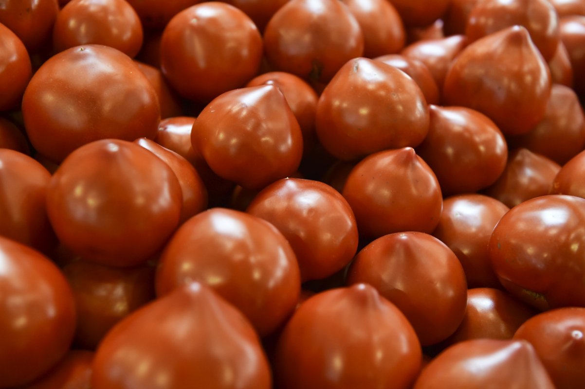 Doar pe 2,4% din suprafaţa agricolă se face agricultură organică 138201