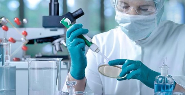 Un nou tip de celulă imunitară, posibil remediu pentru cancer 138134