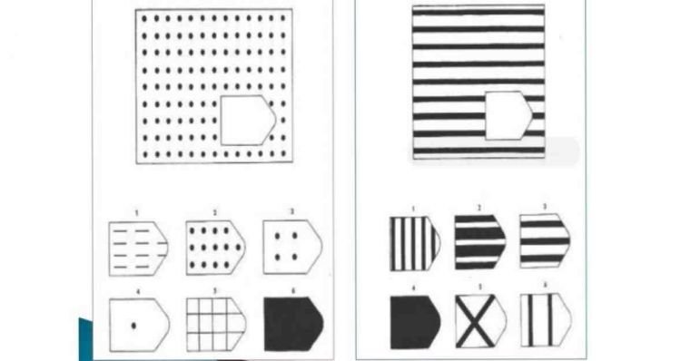 Evaluarea și diagnosticul dizabilității intelectuale 138497