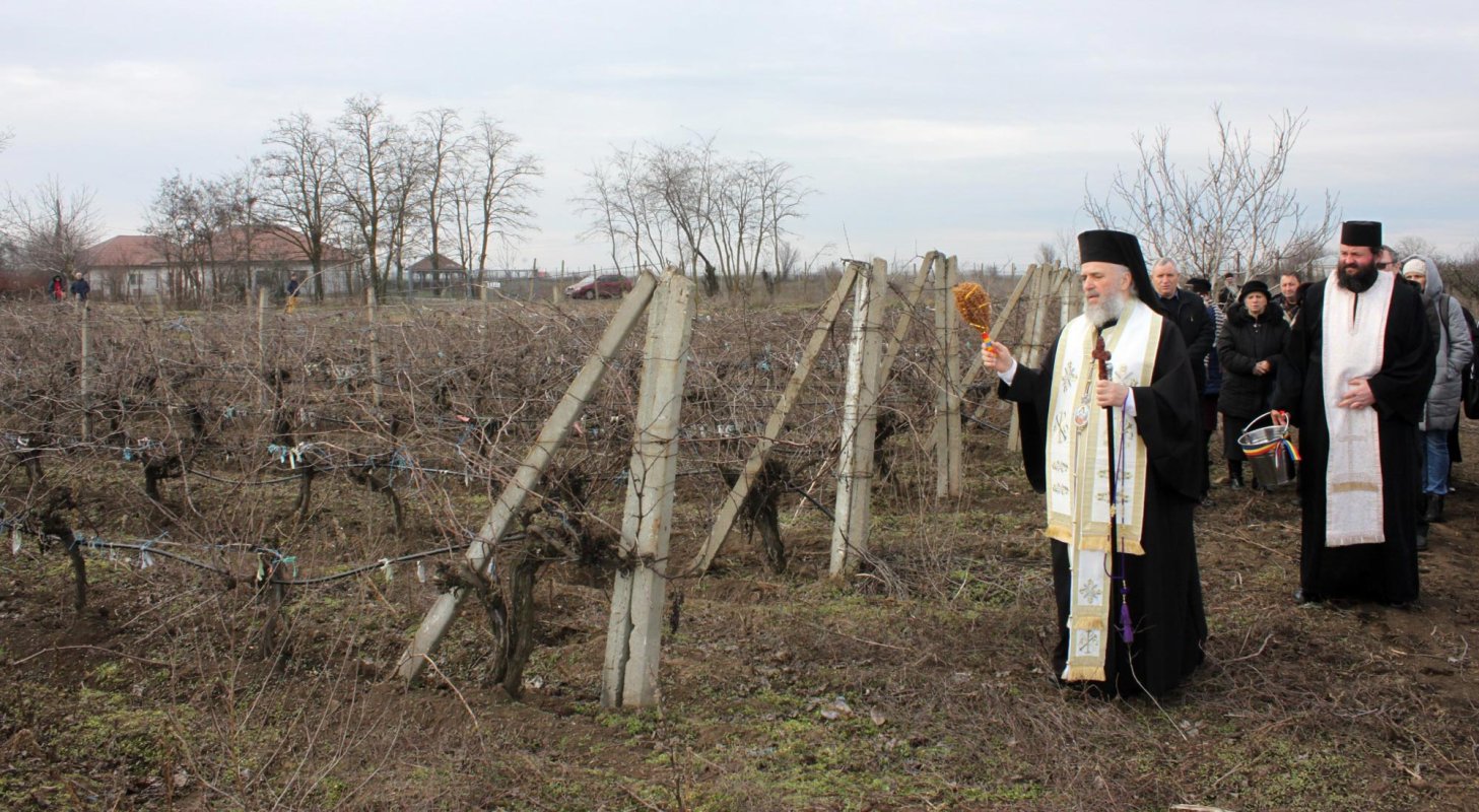 Rugăciune de ziua Sfântului Trifon 138460