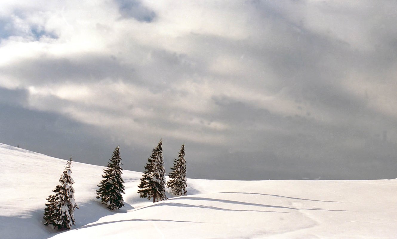 Minus 32 de grade Celsius în Pietrosul Rodnei 138759