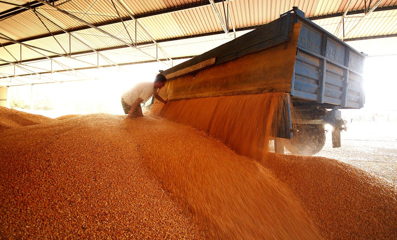 Dezvoltarea porturilor  la Dunăre, o miză importantă pentru agricultură 138834