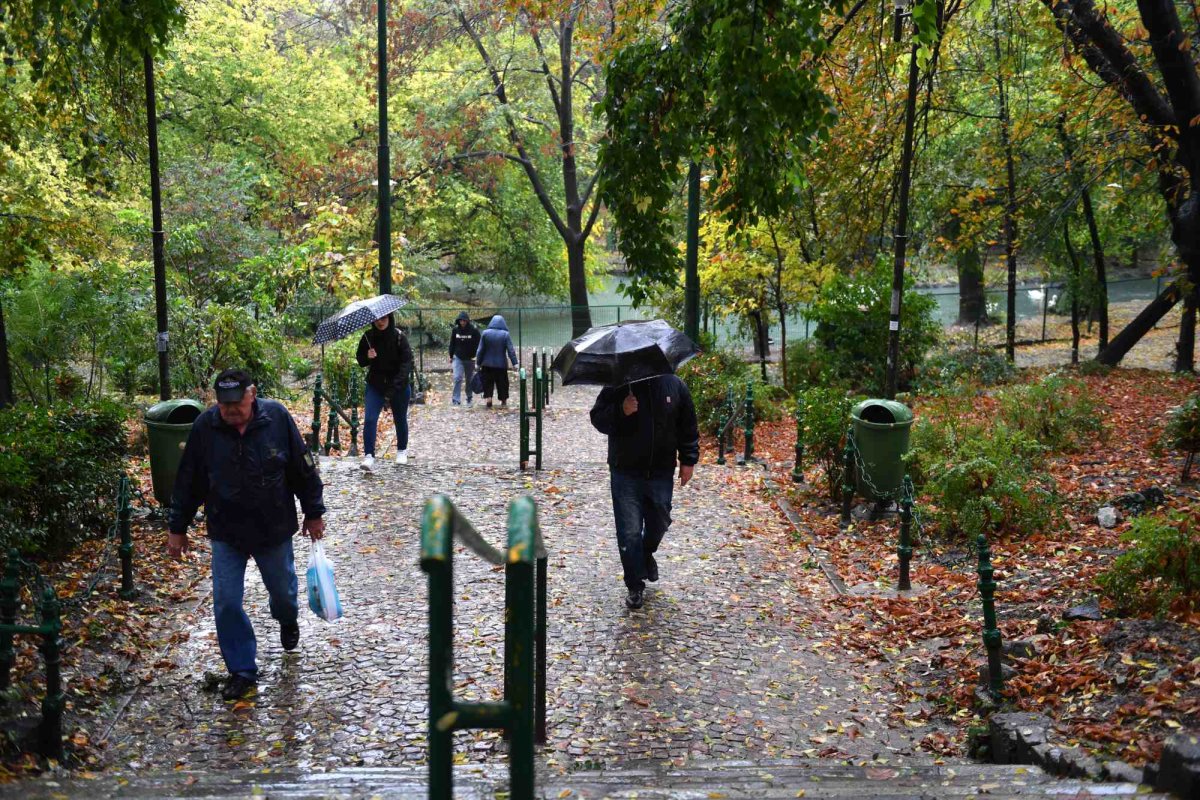 Toamna 2019  a fost cea mai caldă din istoria măsurătorilor meteo 139139