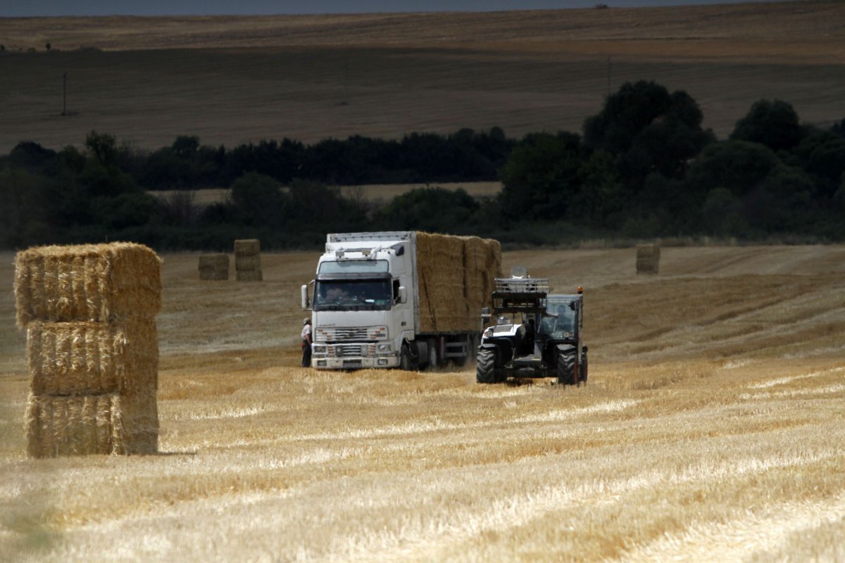 Depunerea cererilor unice de plată, din 2 martie 139255