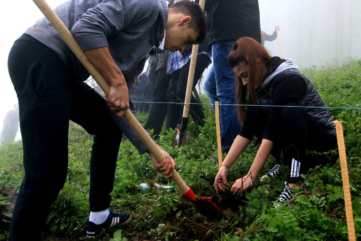 Peste 50 de milioane de puieţi pentru împădurirea din acest an 139724