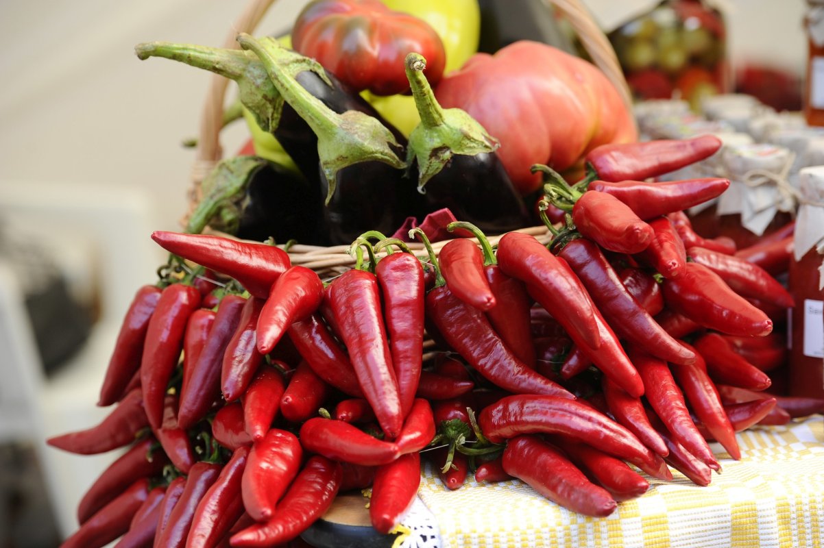 Program pentru agricultura bio 140016