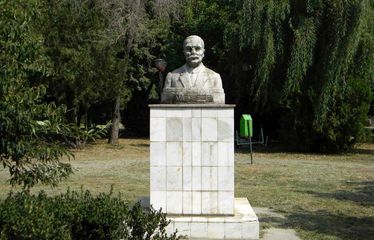 Un mare om ce ne-ar fi fost atât  de necesar azi: Victor Babeș 141437