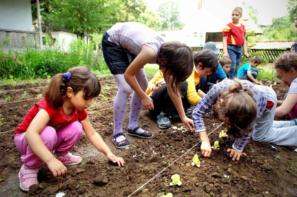 „Școala altfel”, de acasă 141550