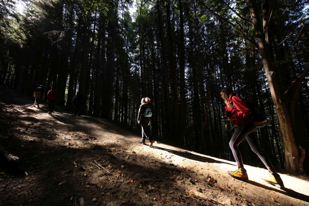 Traseele montane din Alba, închise 141654