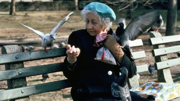 Interval orar de ieșit afară pentru bătrâni 141709