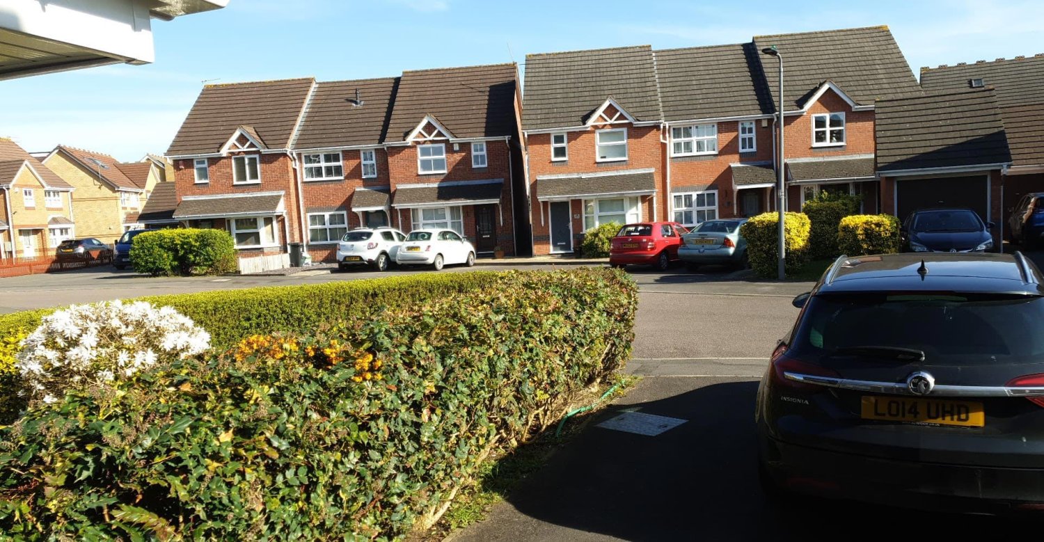 Viața în vreme de pandemie 141664