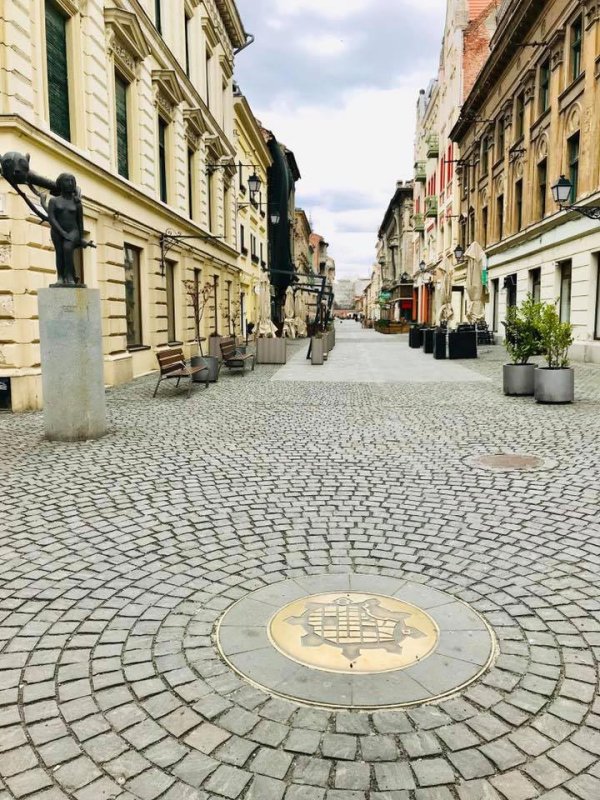 Viața în vreme de pandemie 141680