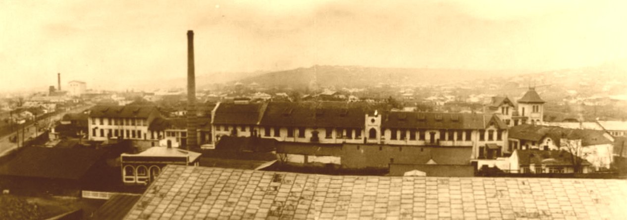 Păcurari 97, o ilustrată din Iașii de odinioară 141417