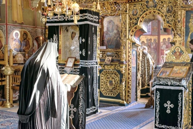 Plânsul de bucurie făcător  141726