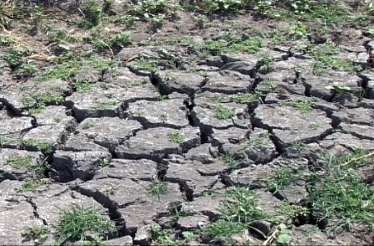 Ministru: Seceta a devenit o problemă foarte, foarte mare 142421