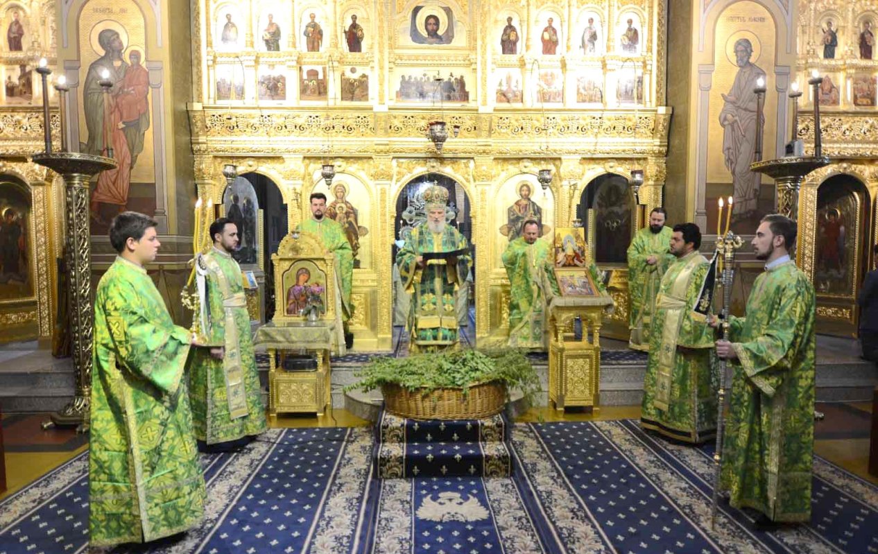 Duminica Floriilor în eparhii din Muntenia și Dobrogea 142666