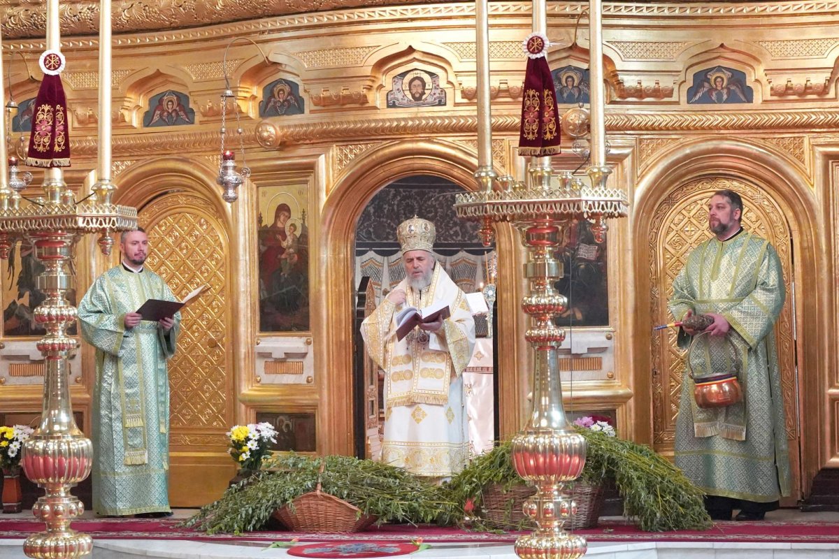 Duminica Floriilor în eparhii din Muntenia și Dobrogea 142670