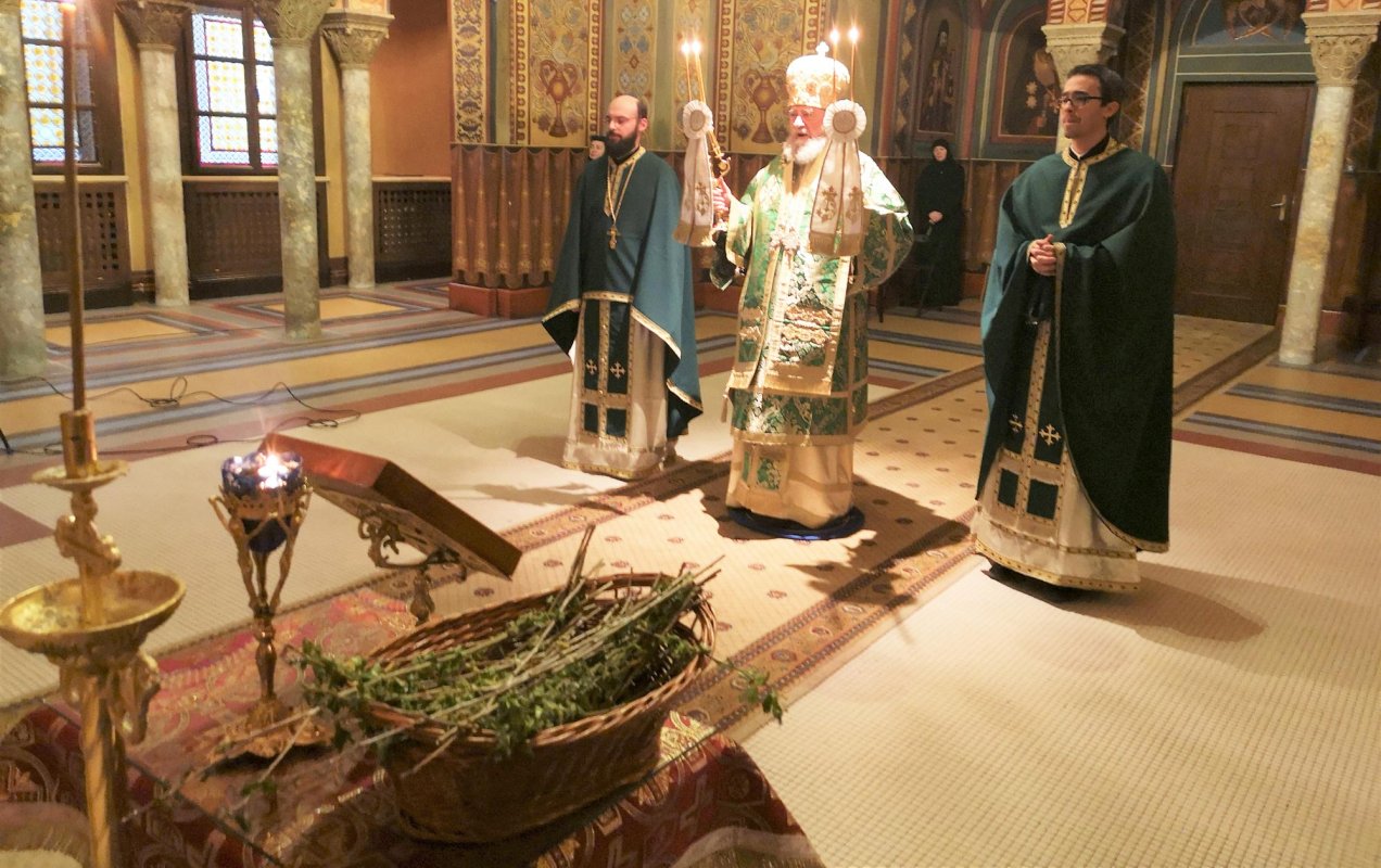 Floriile, un praznic al bucuriei duhovniceşti 142678