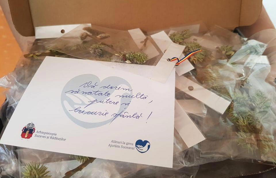 Binecuvântări și încurajări pentru medicii și pacienții din Suceava și Rădăuți 142767