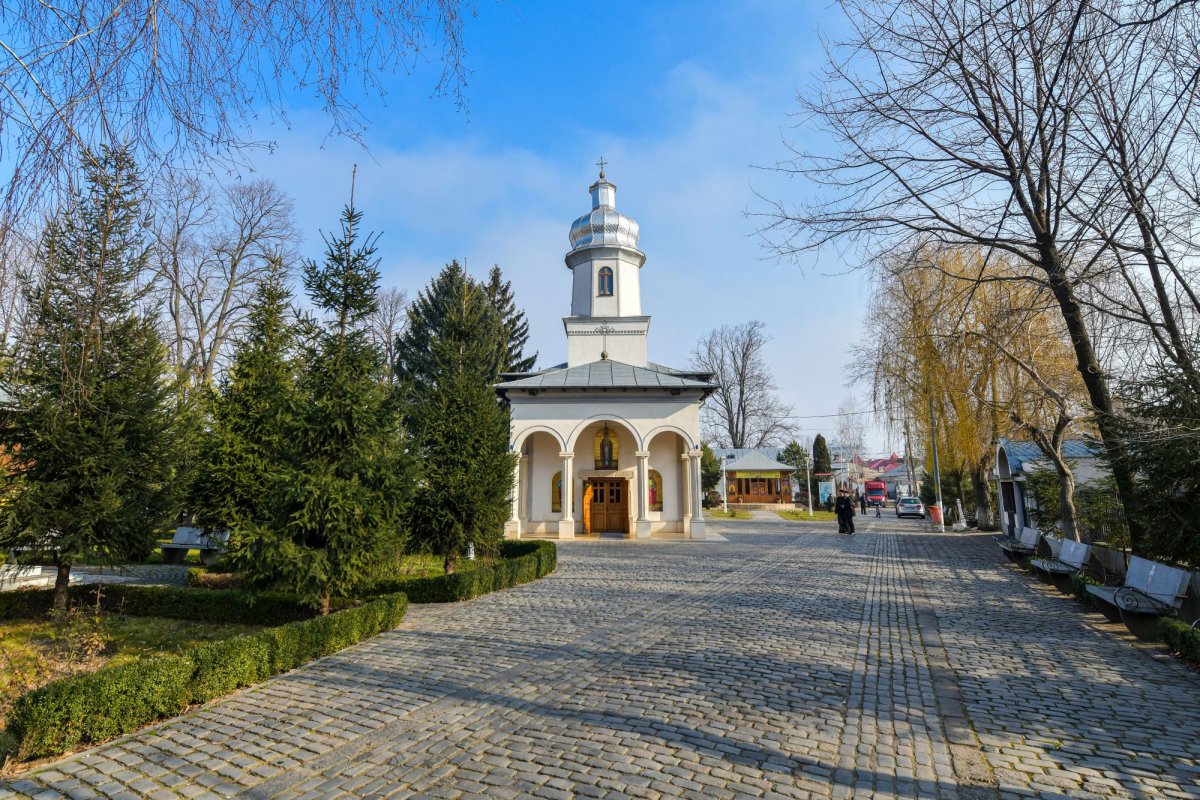 Un porto-franco al filantropiei 142805