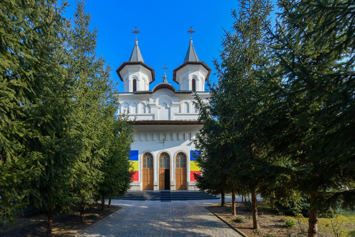 Un porto-franco al filantropiei 142816