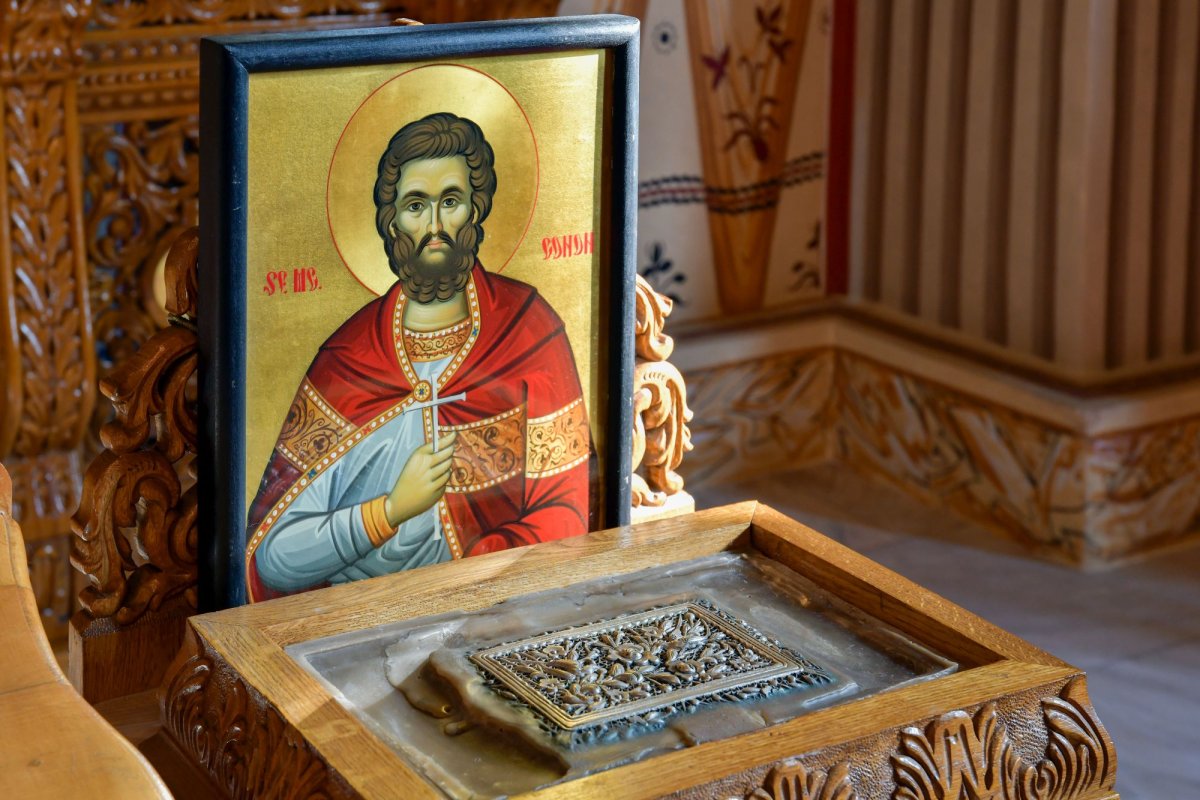 Un porto-franco al filantropiei 142818