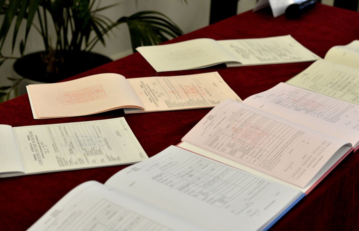 Actele de înregistrare a nașterilor, online 142984