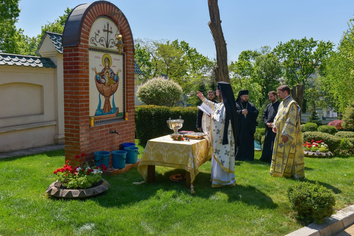 Hristos Domnul și Maica Sa sunt izvor de tămăduiri pentru credincioși 143573