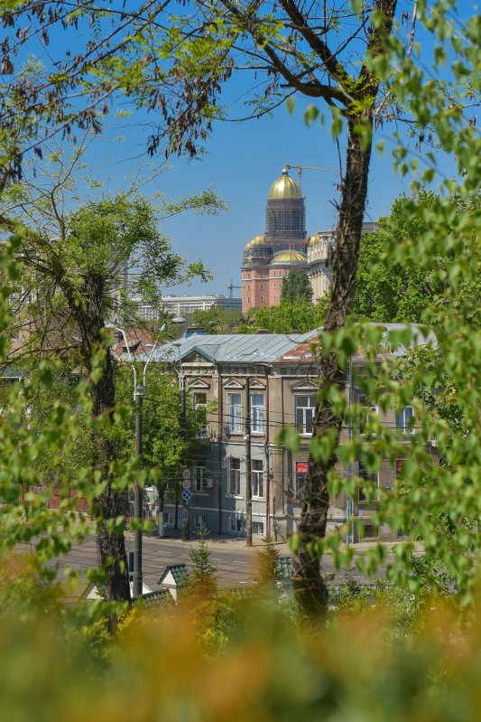 Hristos Domnul și Maica Sa sunt izvor de tămăduiri pentru credincioși 143575