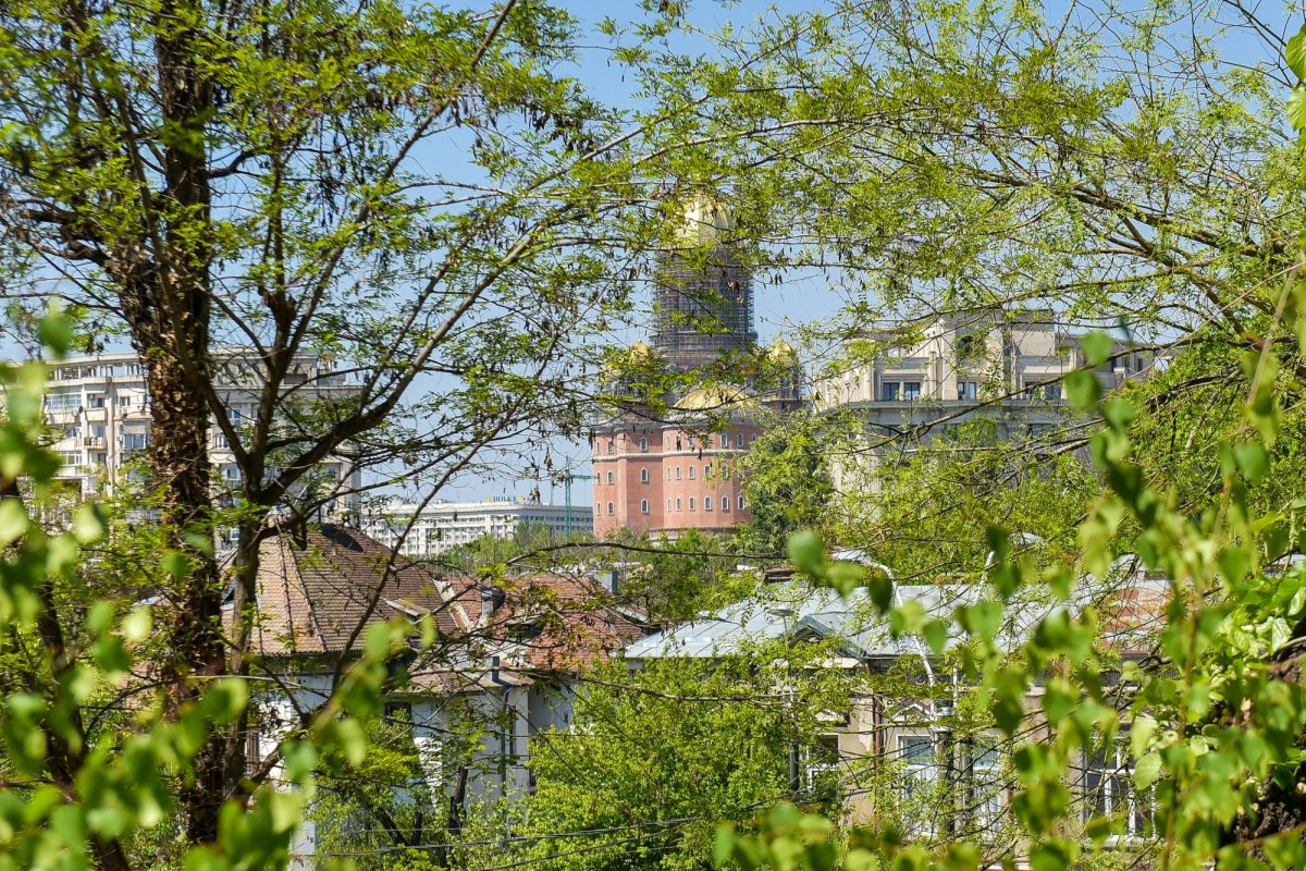 Hristos Domnul și Maica Sa sunt izvor de tămăduiri pentru credincioși 143577