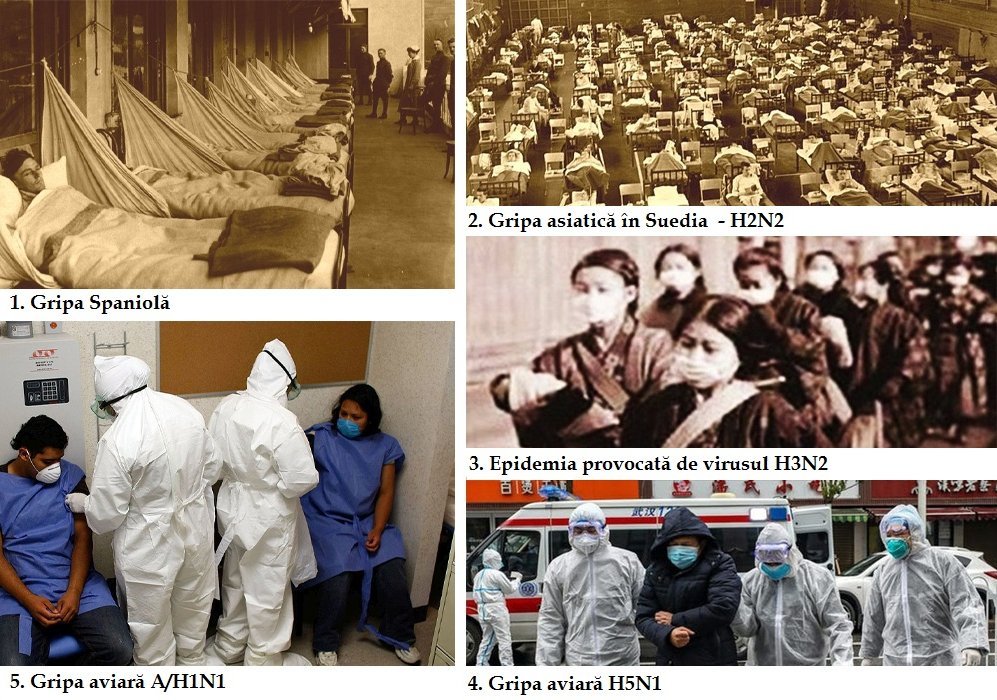 Viața sub asediu. Pandemia Covid-19, la granița dintre știință și teologie 143459