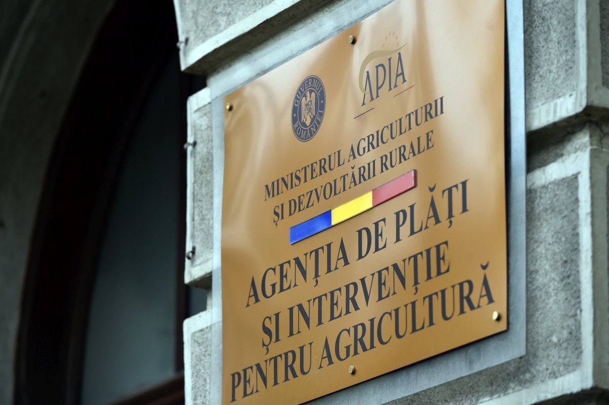 Cererile pentru ajutoarele în agricultură, până joi 143706
