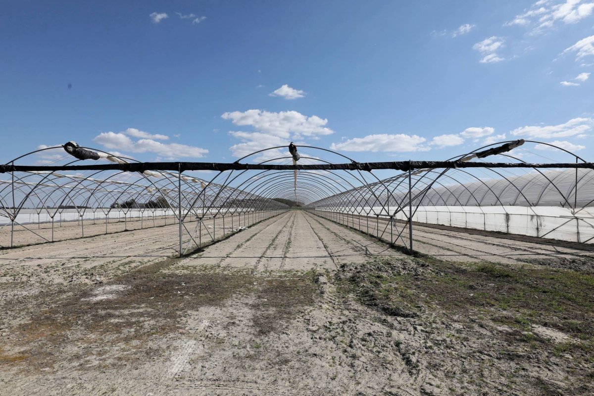 Secetă fără precedent în estul Europei 144142