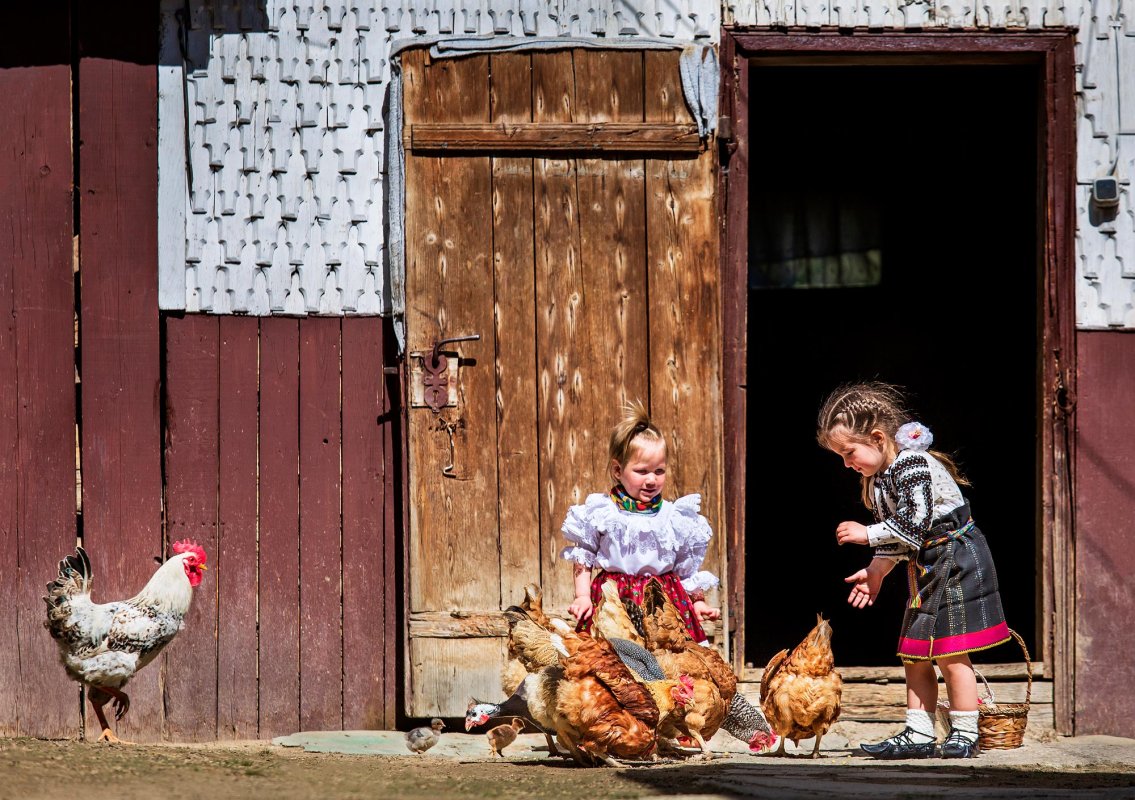 Sorin Onișor, fotograful satului românesc 144222