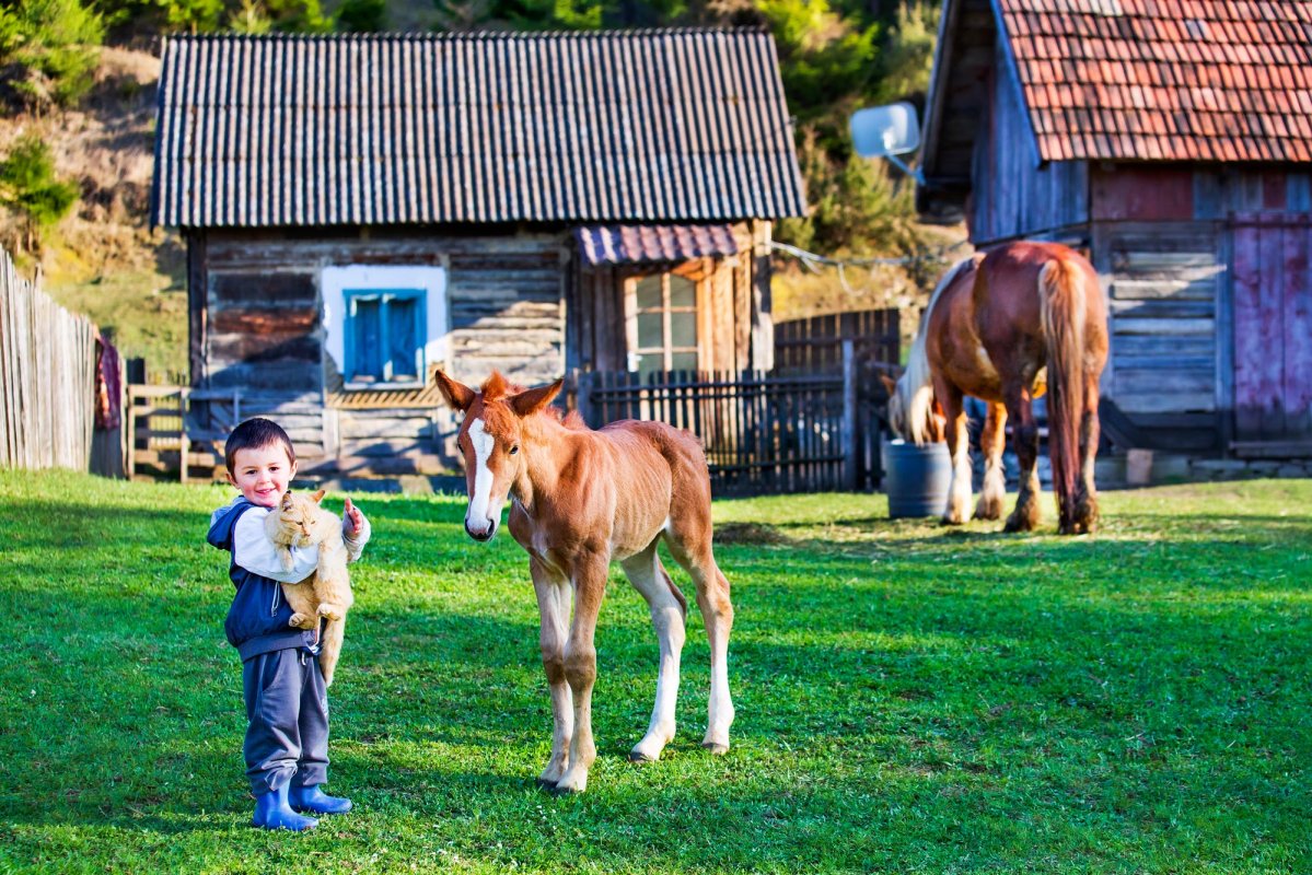 Sorin Onișor, fotograful satului românesc 144223