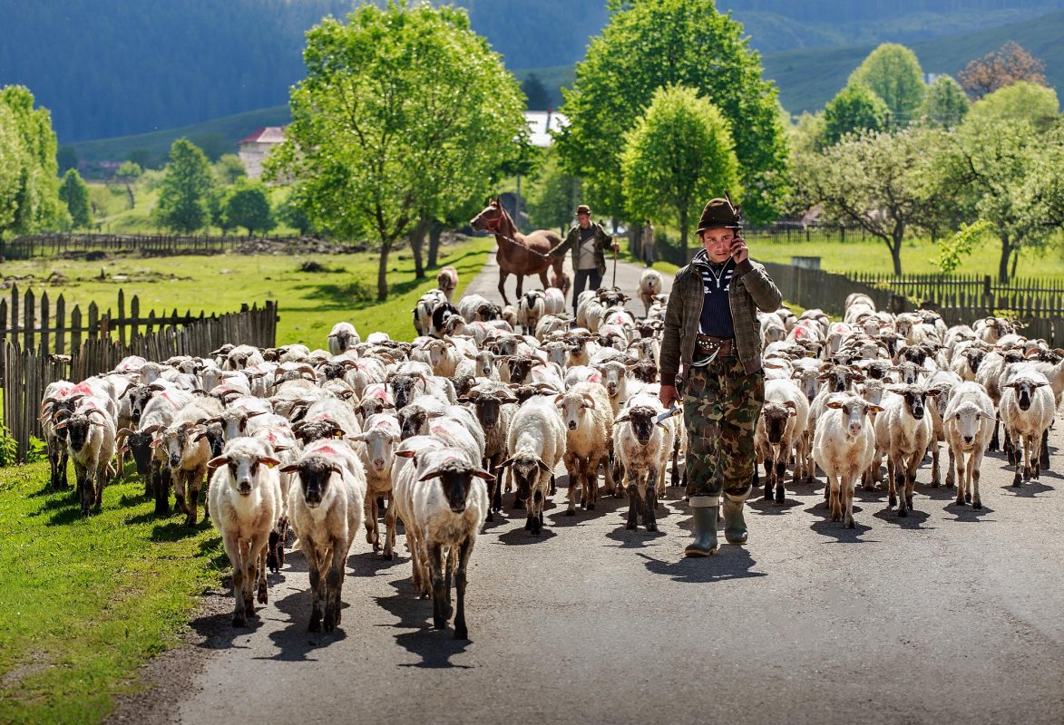 Sorin Onișor, fotograful satului românesc 144226