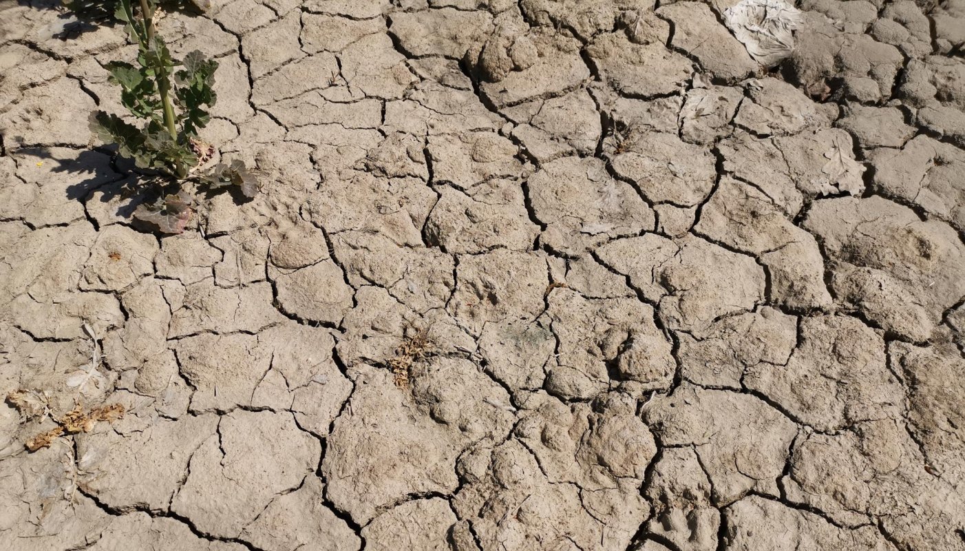 Moldova, sub spectrul îngrijorător al secetei 144553