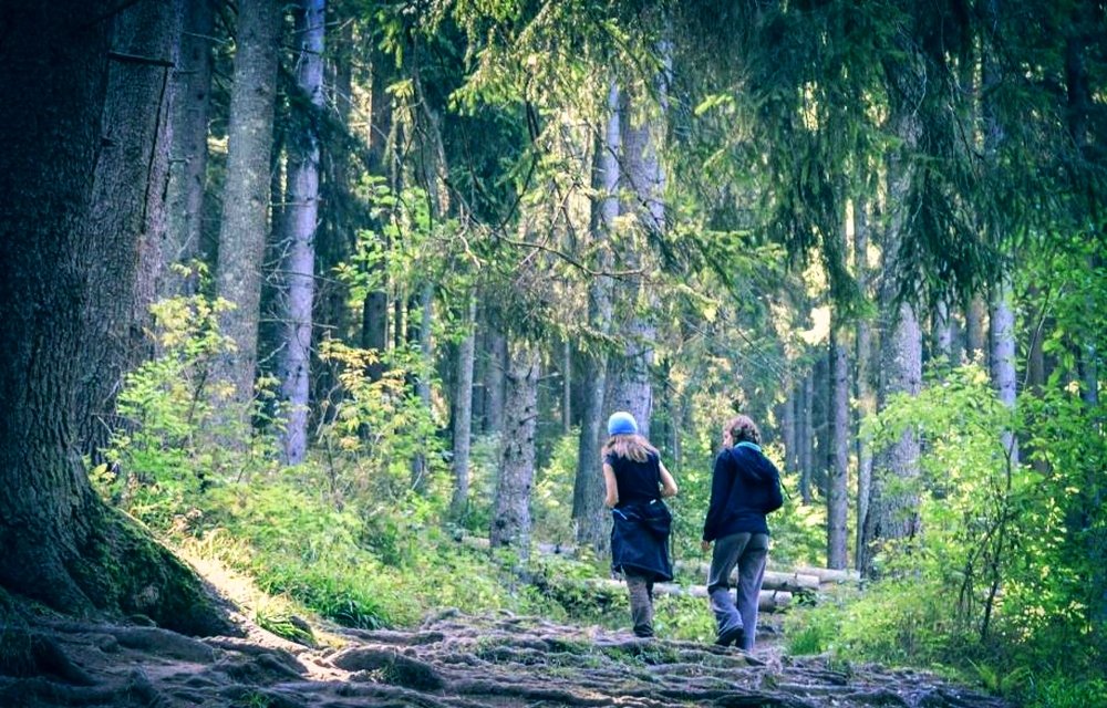 Prieteniile sterpe 144629