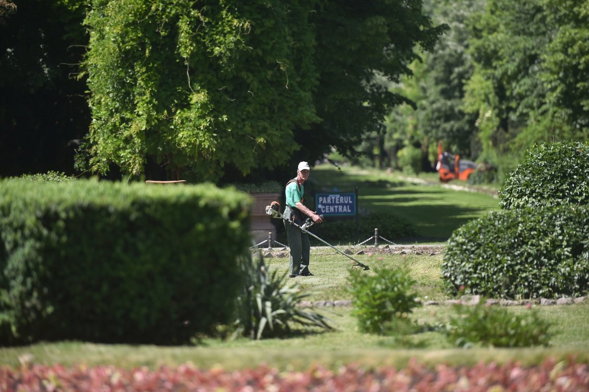 Se redeschid parcurile în Capitală 144645