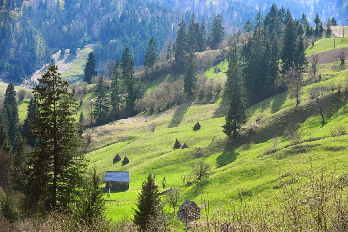 Traseele din Gutâi, pregătite pentru turiști 144648