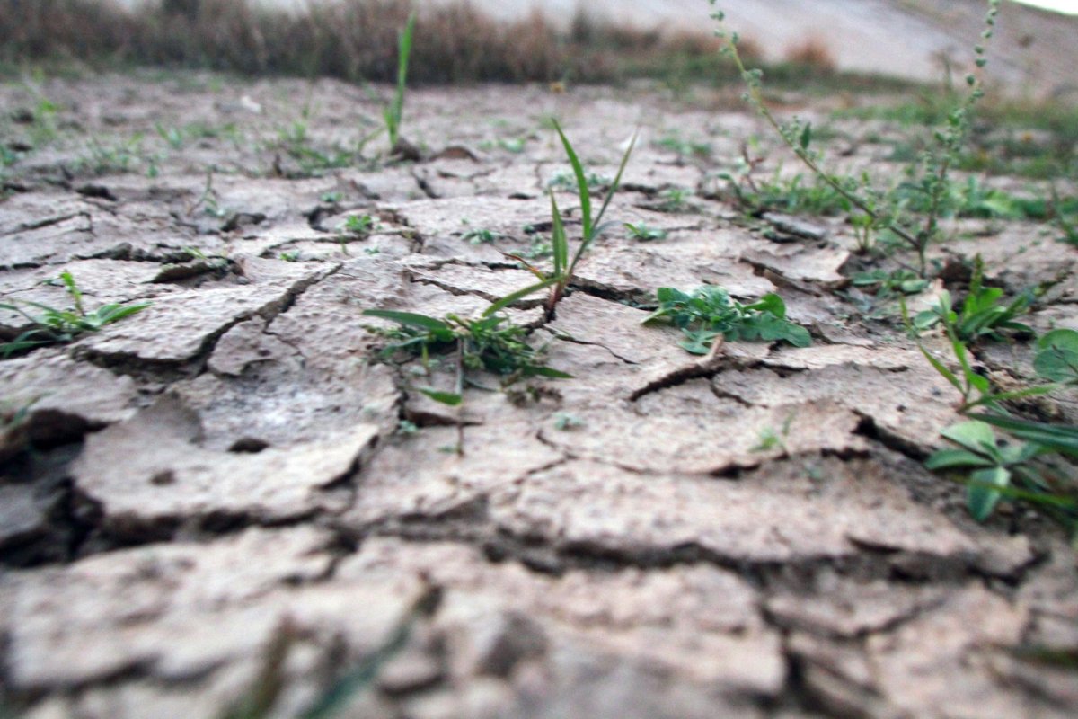 Supraviețuitori ai marii foamete din Moldova 144787