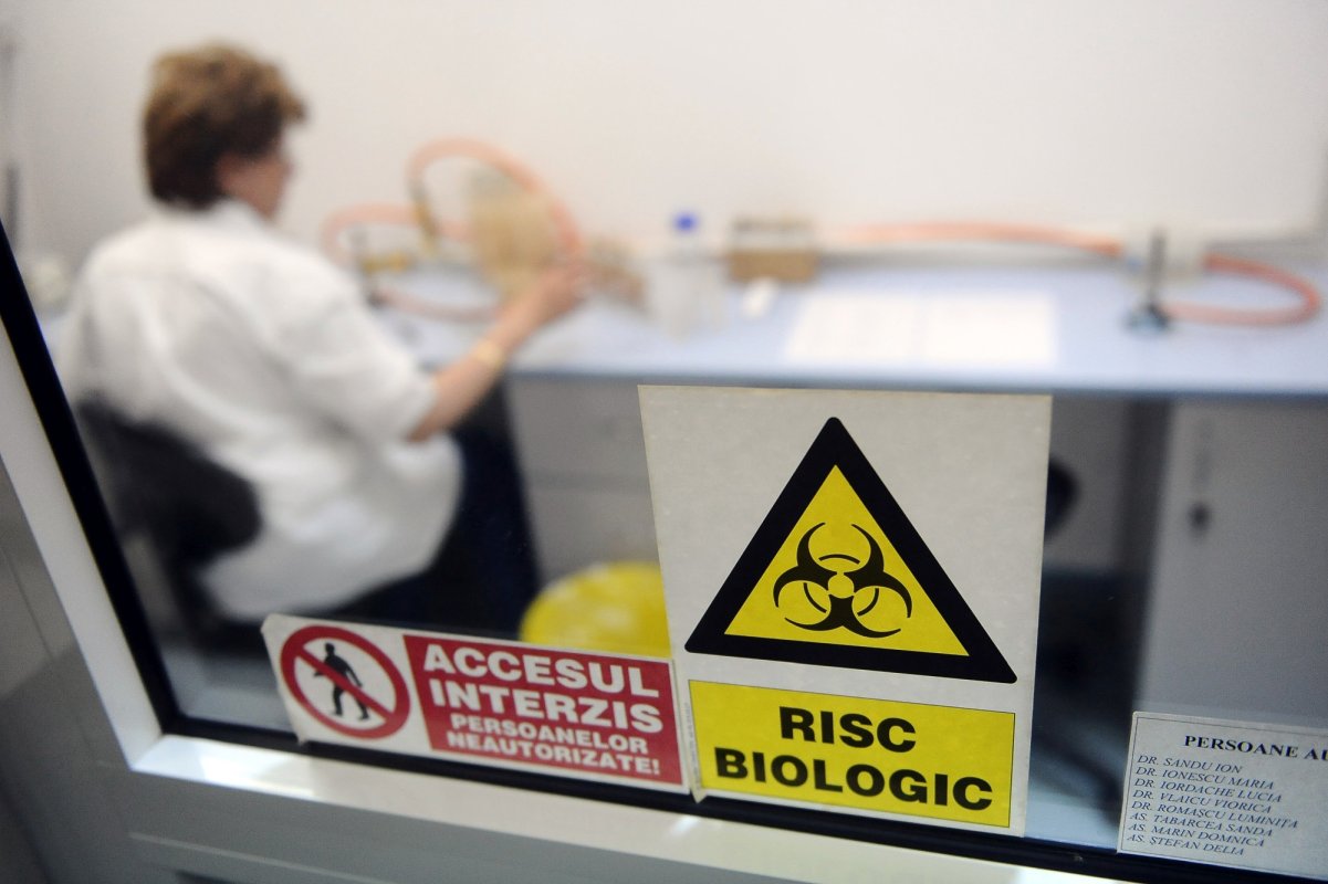 Atenție la carnea de pui din Polonia 144883