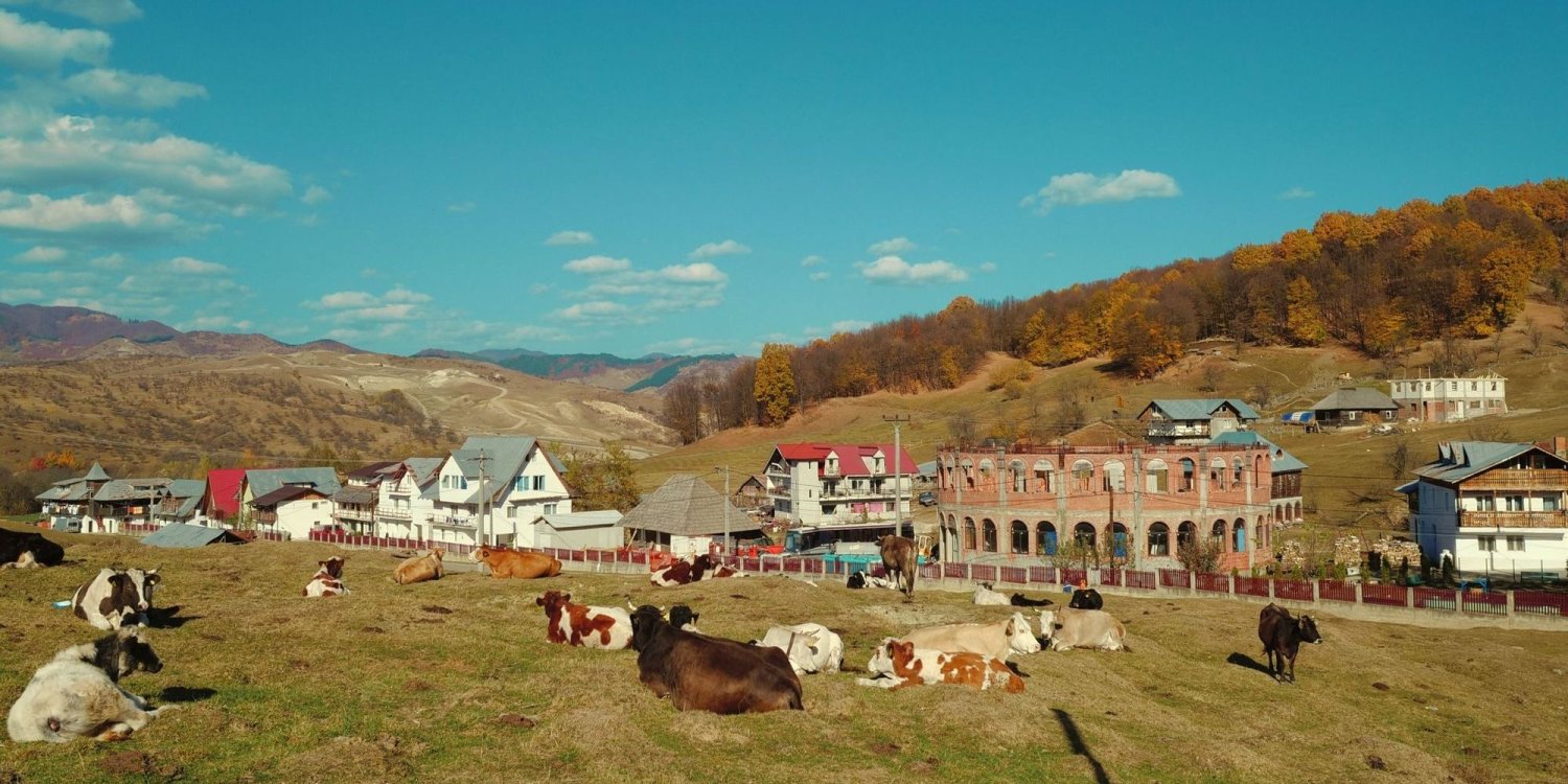 „Revoluția” pro-viață a părintelui Nicolae Tănase 145059