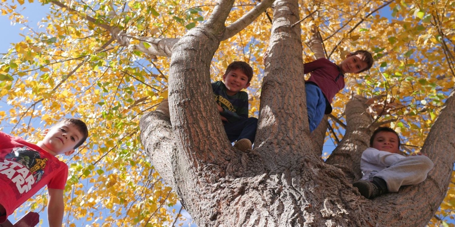 „Revoluția” pro-viață a părintelui Nicolae Tănase 145062