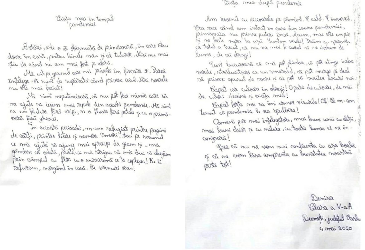 Școala pixelilor, un model de succes la Dumești 145028