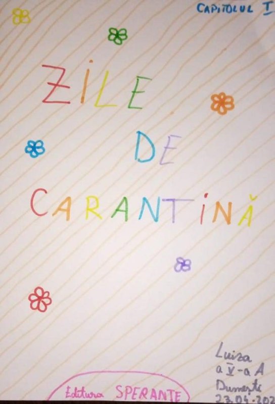 Școala pixelilor, un model de succes la Dumești 145032