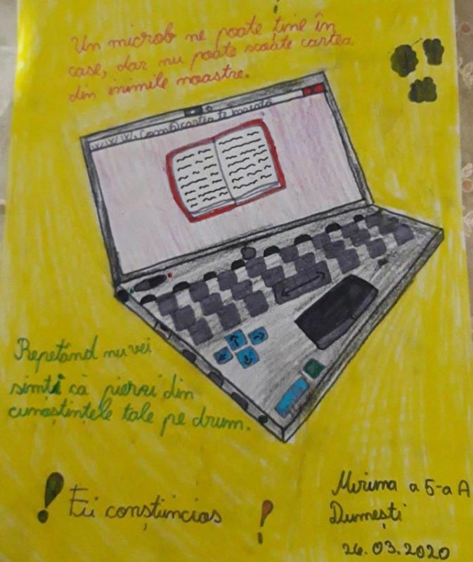 Școala pixelilor, un model de succes la Dumești 145037