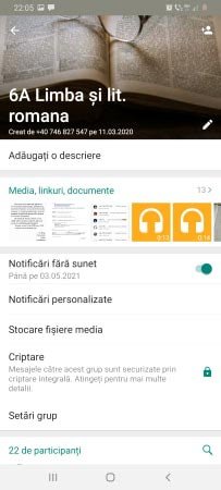 Școala pixelilor, un model de succes la Dumești 145040
