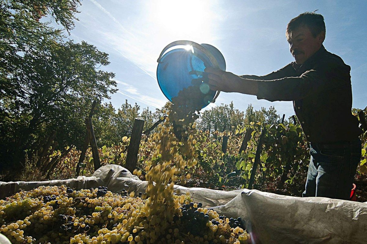 Strategie de aducere acasă a diasporei 145072